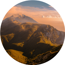 Dr. Denise Olin, PsyD