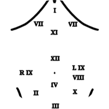 Dr. Rosanna Gregory, DACM